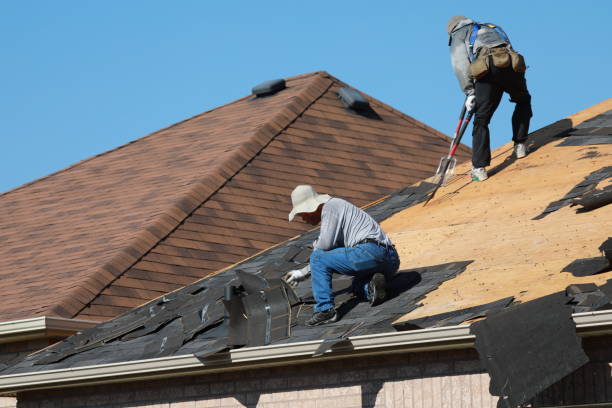 Best Roof Moss and Algae Removal  in Manson, WA